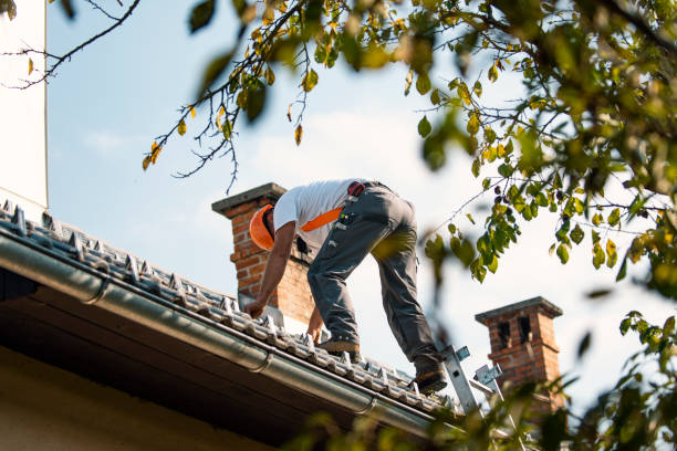 Roof Installation Near Me in University Of Virginia, VA