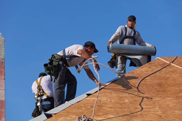 Best Roof Maintenance Services  in University Of Virginia, VA