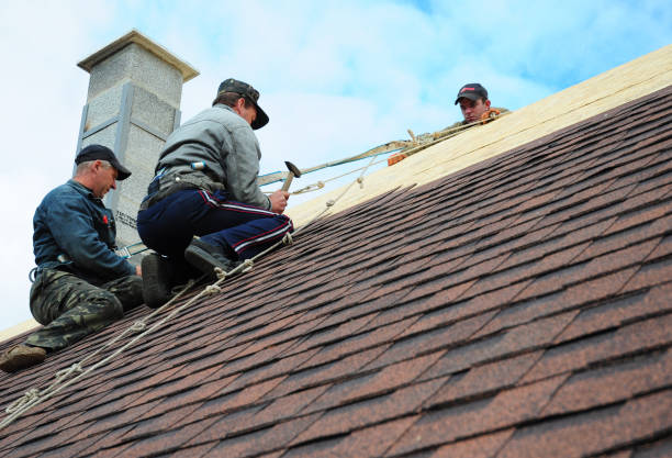 Professional Roofing Contractor in University Of Virginia, VA